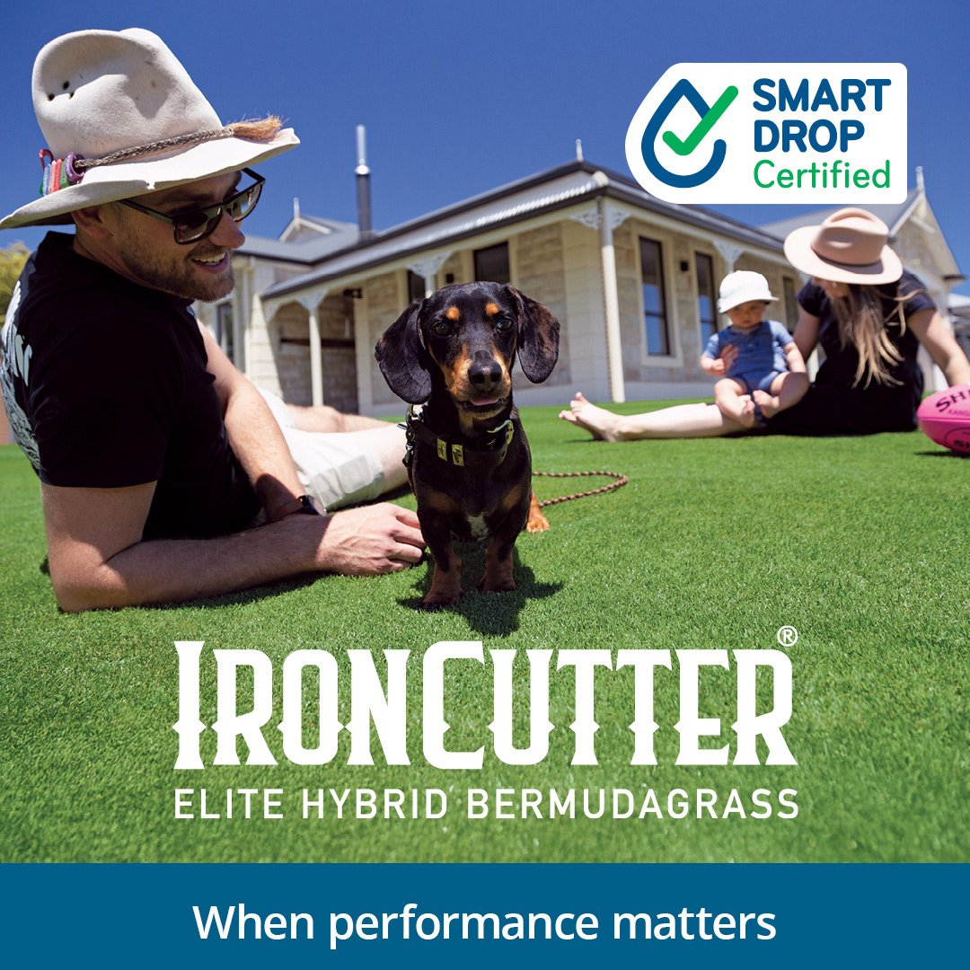 IronCutter Elite Hybrid Bermuda