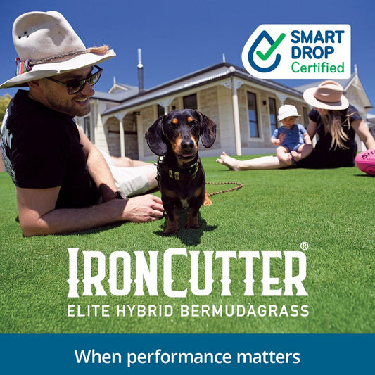 IronCutter Elite Hybrid Bermuda