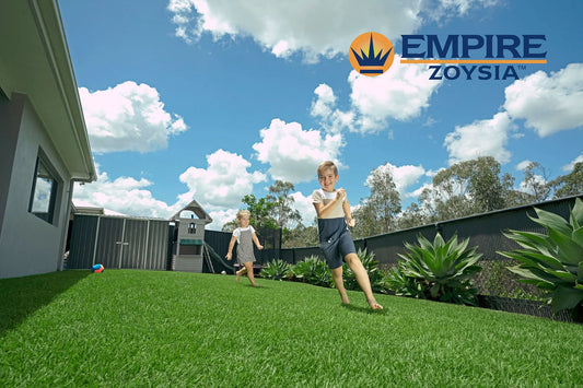 Empire™ Zoysia