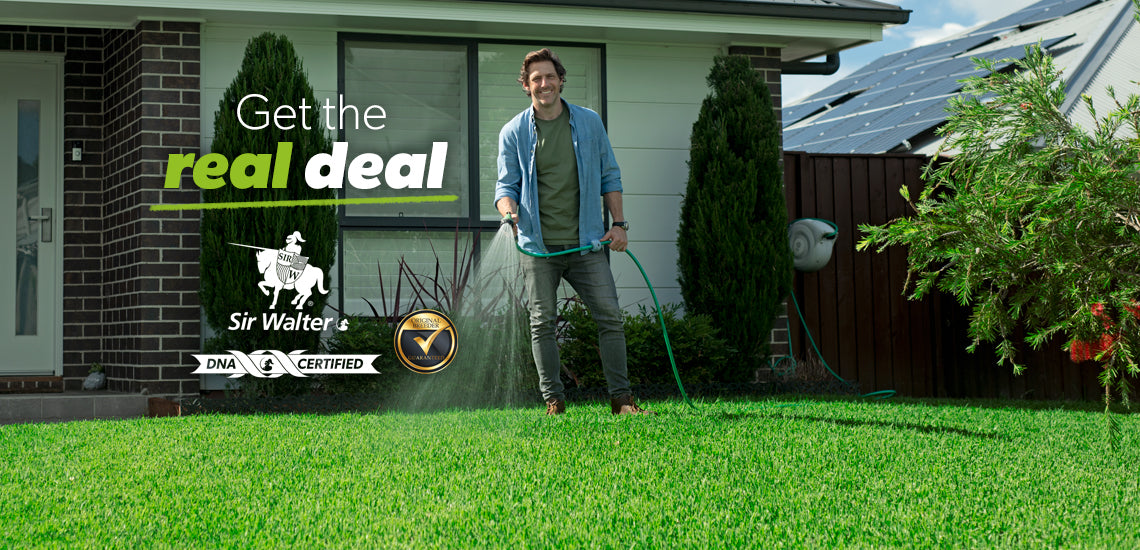 Sir Walter DNA Certified