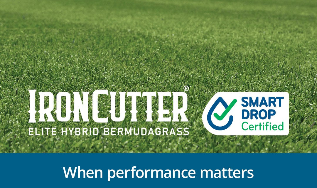 IronCutter Elite Hybrid Bermuda