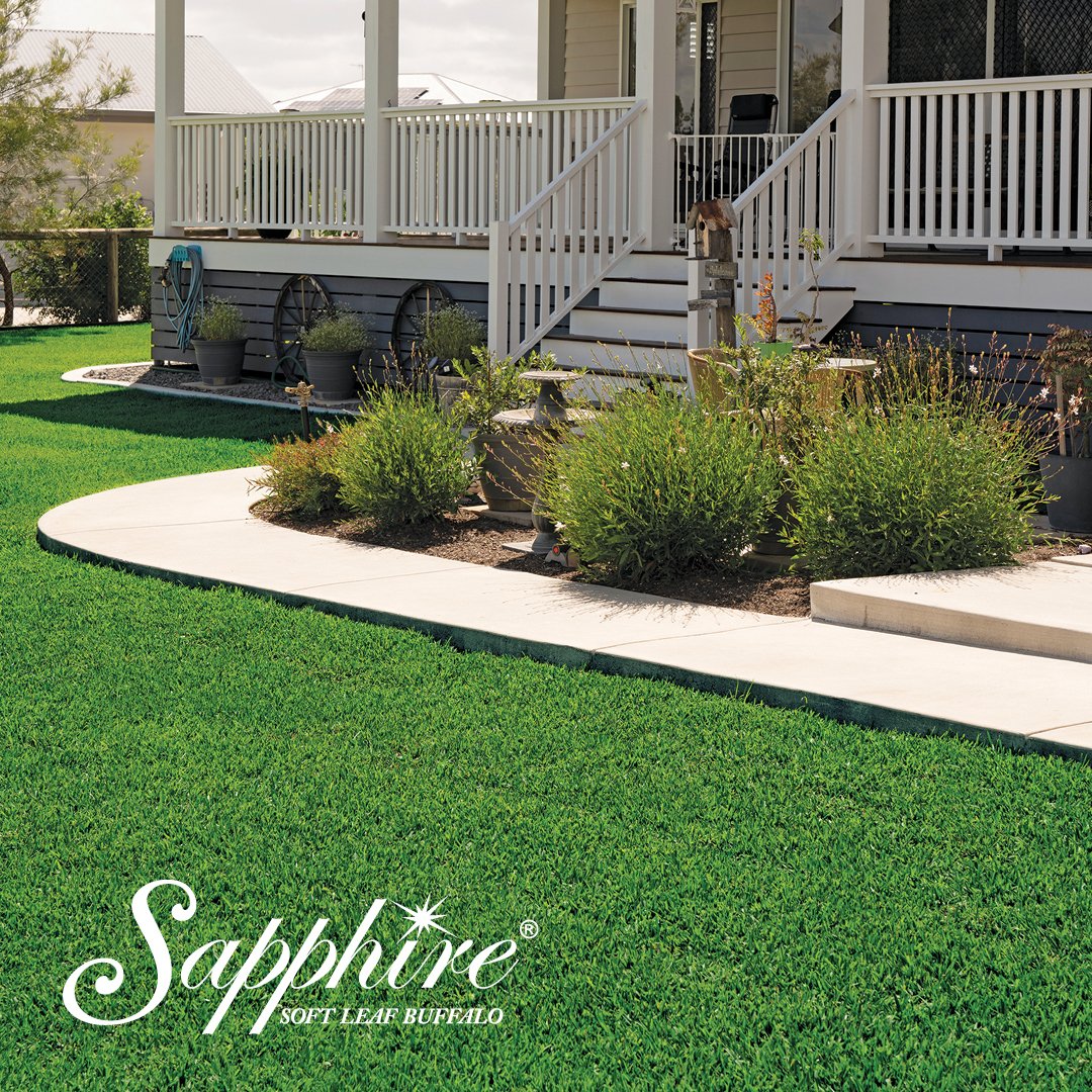 Sapphire Soft Leaf Buffalo