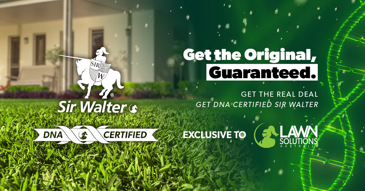 Sir Walter DNA Certified