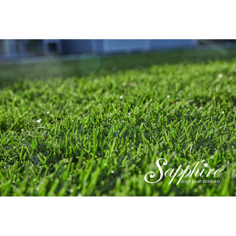 Sapphire Soft Leaf Buffalo