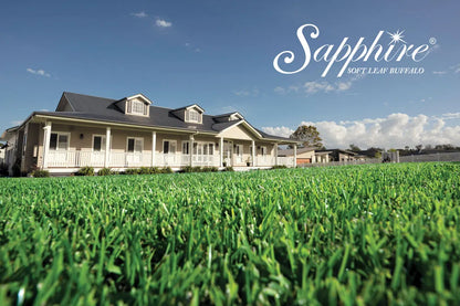 Sapphire Soft Leaf Buffalo