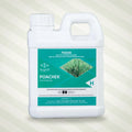 Campbells Poa Chek 1L