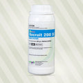 Indigo Recruit 200SC 1L insecticide